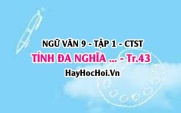 Soạn bài Tính đa nghĩa trong bài thơ Bánh trôi nước trang 43 Ngữ Văn lớp 9 tập 1 Chân trời sáng tạo